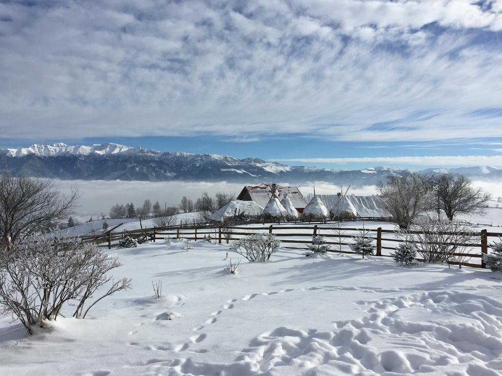 Chalet Ro 佩斯泰拉 外观 照片